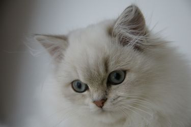 Melodie01